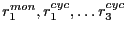 $r_{1}^{mon}, r_{1}^{cyc}, \ldots r_{3}^{cyc}$
